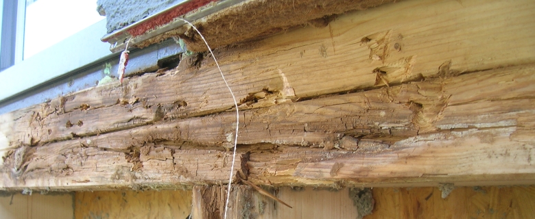 Freigelegte, geschädigte Holzkonstruktion unterhalb eines schadhaften Fensteranschlusses.
